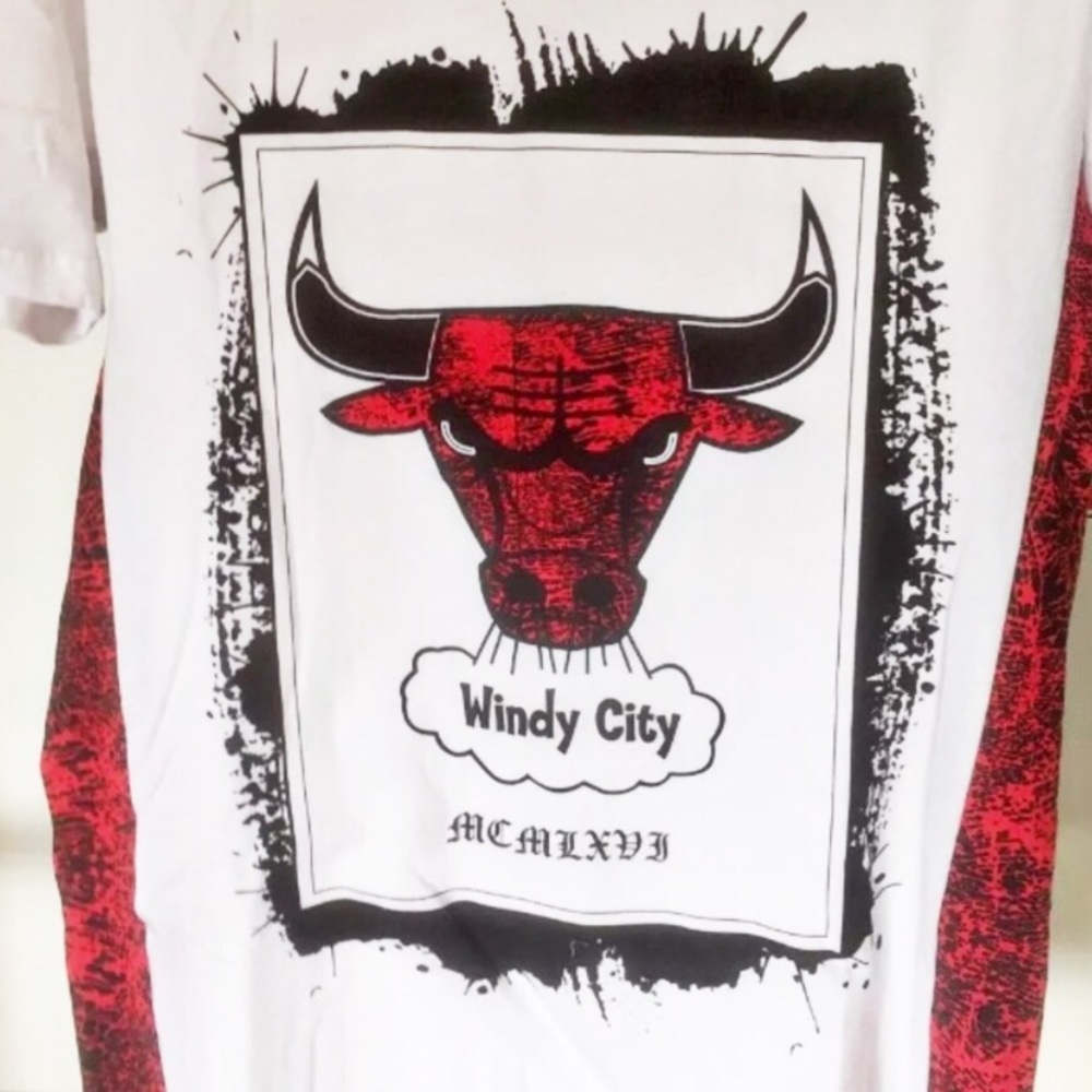 Mens Rue 21 Chicago Bulls Windy City NBA Collab Short Sleeve T Shirt Size Small - Picture 5 of 7